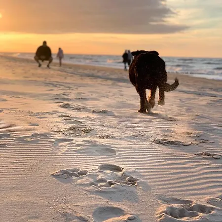 Ahoy - Haus Am * Chłopy